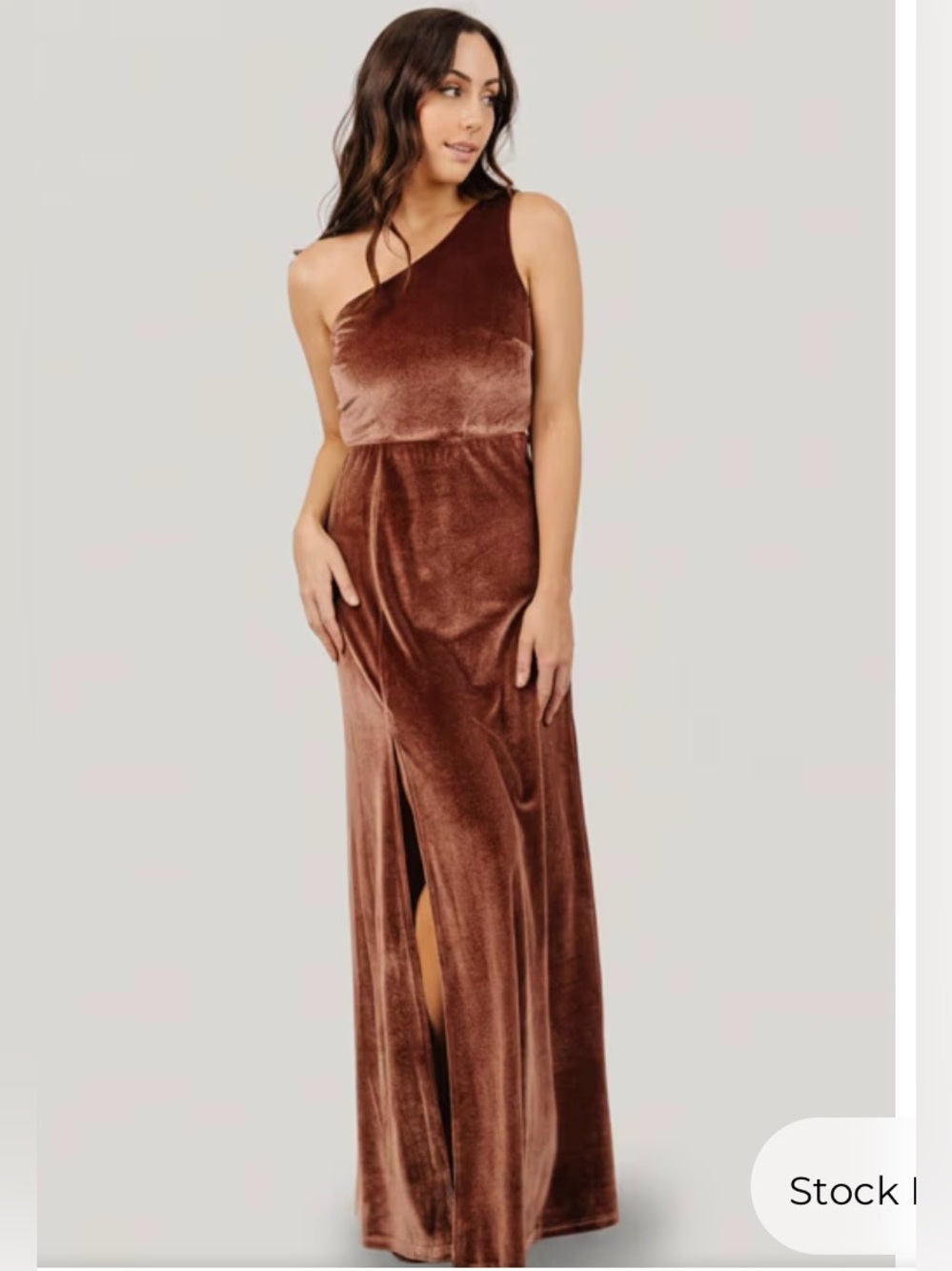 Baltic Born Tatiana Velvet One Shoulder Maxi Dress Desert Rose Small S NWT